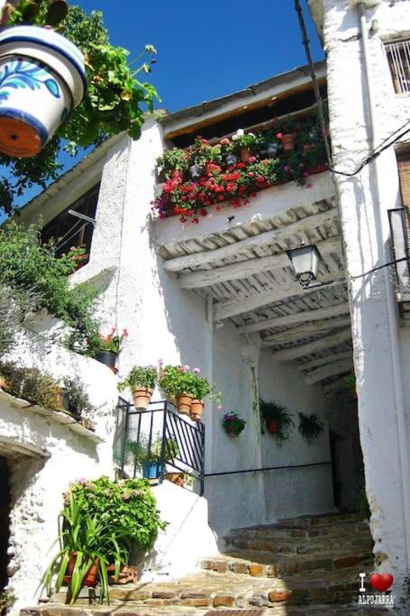 La Casa Rural De Paco Y Ana Pitres Exterior foto