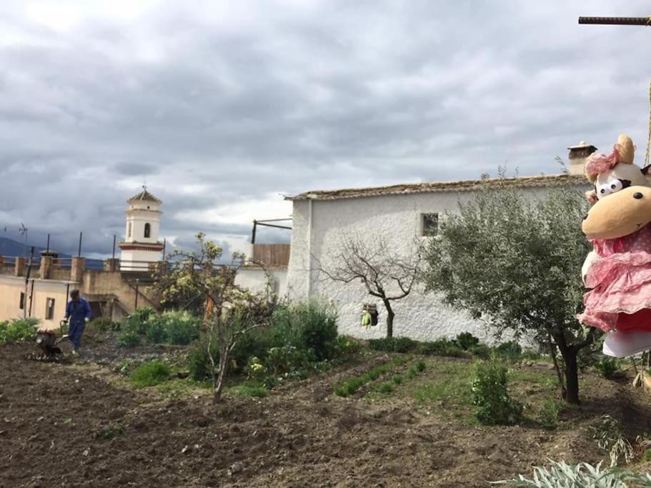 La Casa Rural De Paco Y Ana Villa Pitres Exterior foto